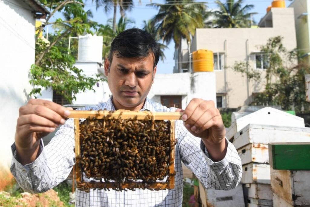 Apoorva BV beekeeping success story
