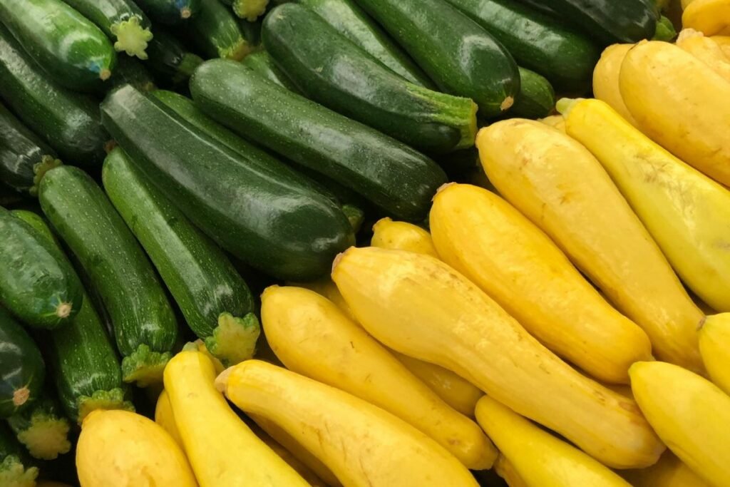 Zucchini