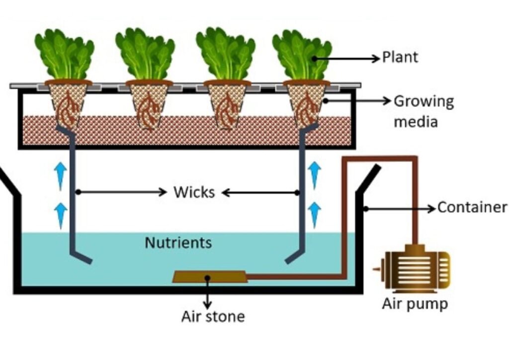 Wick System Hydroponics