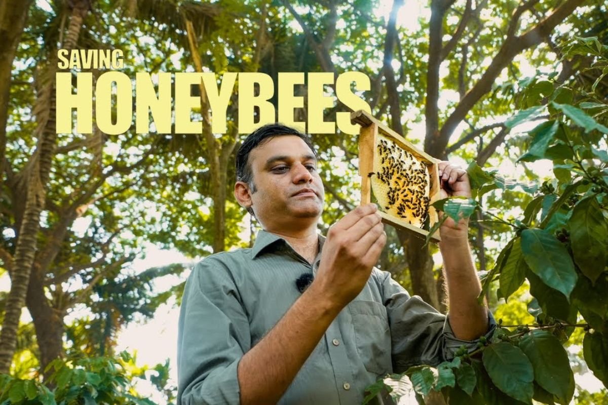 Apoorva BV beekeeping success story
